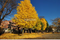 【公園】日進公園　約650m