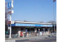 【コンビニ】ローソン　約600m