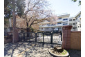 【小学校】木崎小学校　約850m