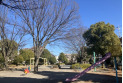 【公園】東谷公園　約240m