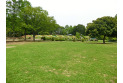 【公園】大崎公園　約1,000m
