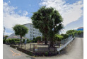 【公園】小深作前公園　約120m