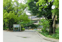 【小学校】桜町小学校　約350m