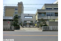【小学校】戸塚東小学校　約229m