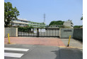 【小学校】新郷小学校　約750m