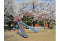 【公園】領家第7公園　約40m
