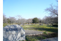 【公園】見沼氷川公園　約320m