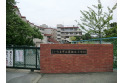 【小学校】道祖土小学校　約550m