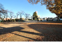 【公園】稲荷第2公園　約500m
