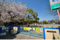【小学校】栄小学校　約450m