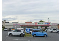 【ドラッグストア】セイムス　約1,000m
