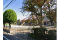 【公園】北園第2公園　約300m