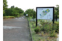 【公園】県営しらこばと水上公園　約1,000m