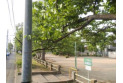 【公園】青木町2丁目公園　約350m