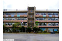 【小学校】新栄小学校　約640m