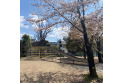 【公園】下蕨公園　約150m