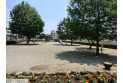 【公園】どんぐり公園　約300m