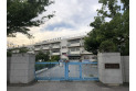 【小学校】川口市立中居小学校　約900m