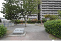 【公園】こぶし公園　約50m