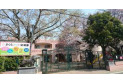 【幼稚園・保育園】さくらアート幼稚園　約600m