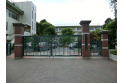 【小学校】常盤小学校　約700m