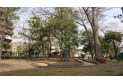 【公園】緑地公園　約500m