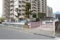 【幼稚園・保育園】常盤北保育園　約600m