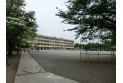 【小学校】美原小学校　約280m