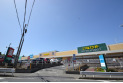 【スーパー】いなげや所沢西武園店　約900m