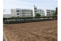 【小学校】牛沼小学校　約540m