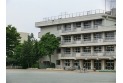 【小学校】中央小学校　約320m