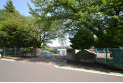 【小学校】上新井小学校　約600m