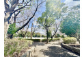 【公園】亀ケ谷公園　約80m