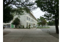 【小学校】所沢小学校　約480m