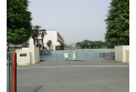 【小学校】南小学校　約800m