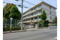 【小学校】伸栄小学校　約520m