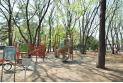 【公園】緑町中央公園　約800m