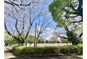 【公園】亀ケ谷公園　約460m