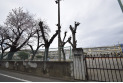 【小学校】第四小学校　約1,300m