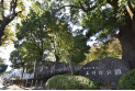 【公園】上仲原公園　約560m