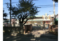 【幼稚園・保育園】立川ひかり保育園　約150m