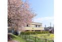 【幼稚園・保育園】たかのみち保育園　約500m