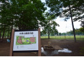 【公園】大南公園　約550m