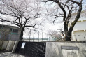 【中学校】福島中学校　約800m