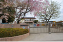 【幼稚園・保育園】所沢第六文化幼稚園　約650m