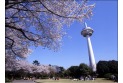 【公園】所沢航空記念公園　約1,400m