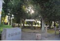 【公園】ならの木公園　約620m