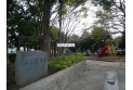 【公園】扇西ふじ棚公園　約260m