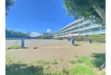 【小学校】上新井小学校　約800m