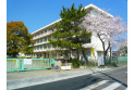 【小学校】泉小学校　約450m